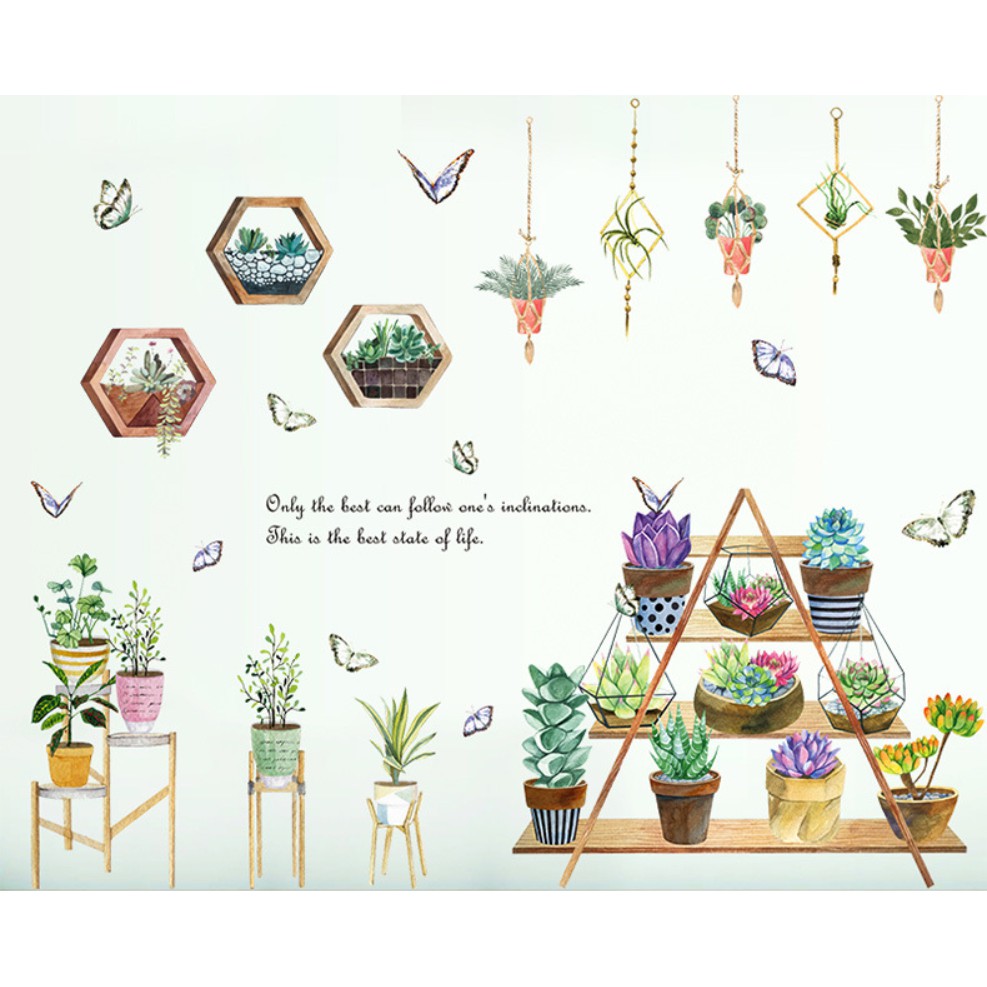 Decal dán tường Nhiều chậu hoa đá sắc nét