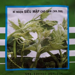 Hạt giống bí ngô siêu ngọn 20gram