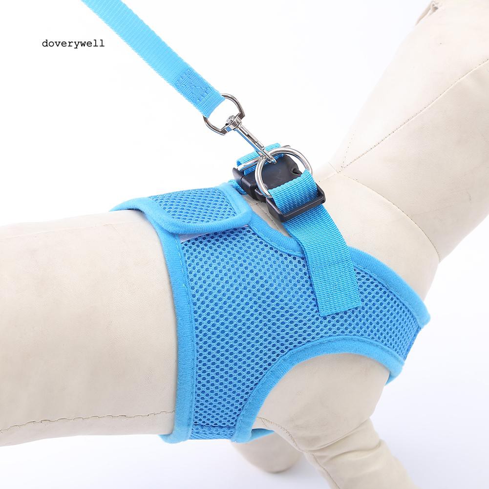 Vòng cổ dắt thú cưng nhiều màu sắc