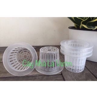 Combo 5 rọ nhựa trồng thuỷ canh loại cao