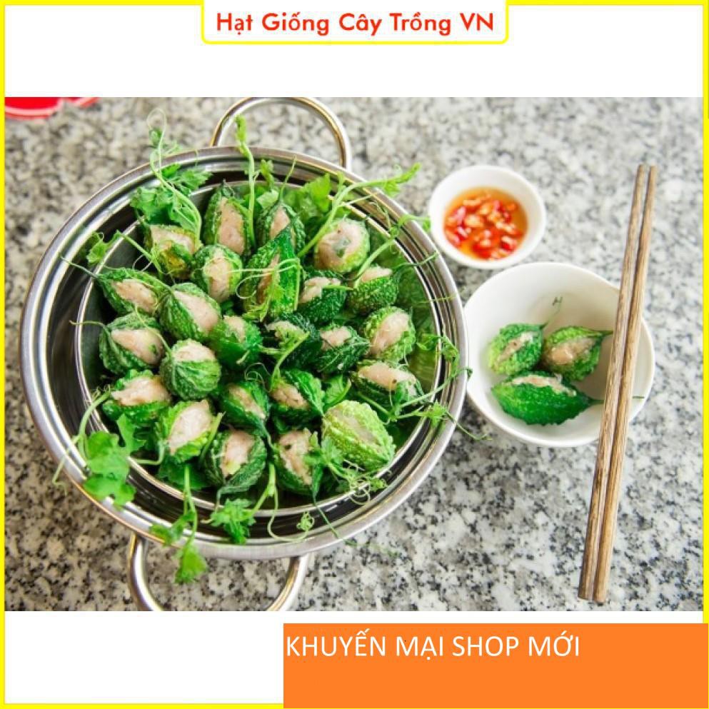 Hạt giống Khổ Qua Rừng Dễ Trồng - Gói 10 Hạt khuyến mại shop mới