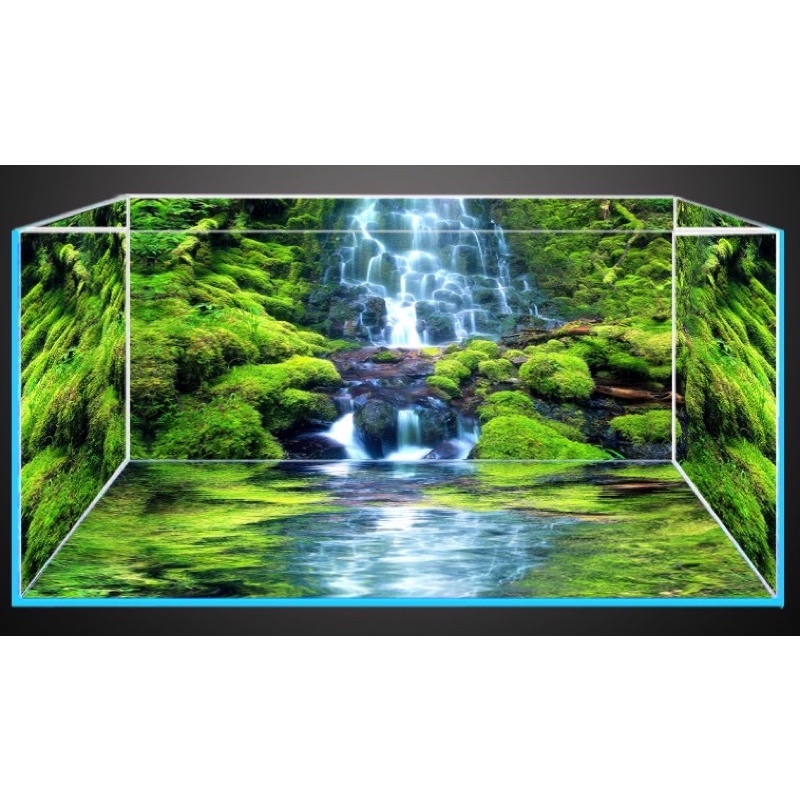Tranh 3D - phông nền dán hồ cá, bể thuỷ sinh siêu đẹp và nét, có keo sẵn trên bề mặt,có thể in theo KT yêu cầu AQB21-197