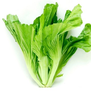 25GR - HẠT GIỐNG CẢI BẸ DƯA