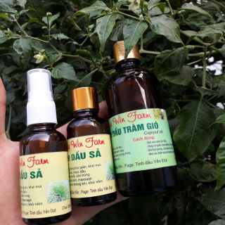 Nước cất lá trầu không