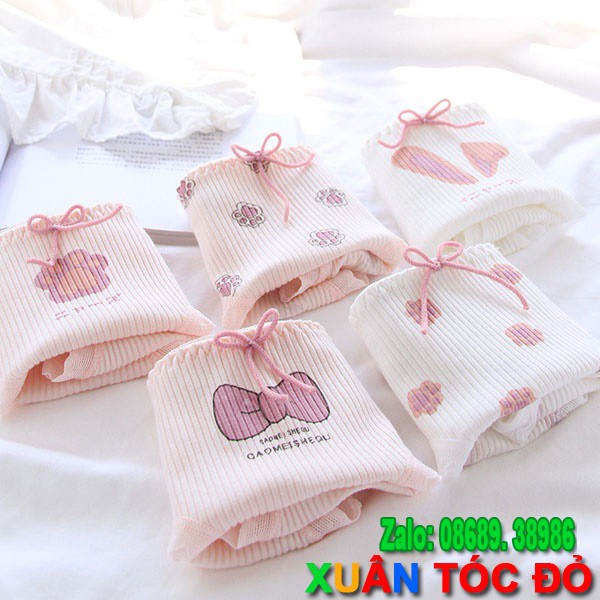 SỈ ZALO RẺ HƠN NHIỀU_ Quần Lót 5 Kiểu Nơ Cute Cực Đẹp 5092 | BigBuy360 - bigbuy360.vn