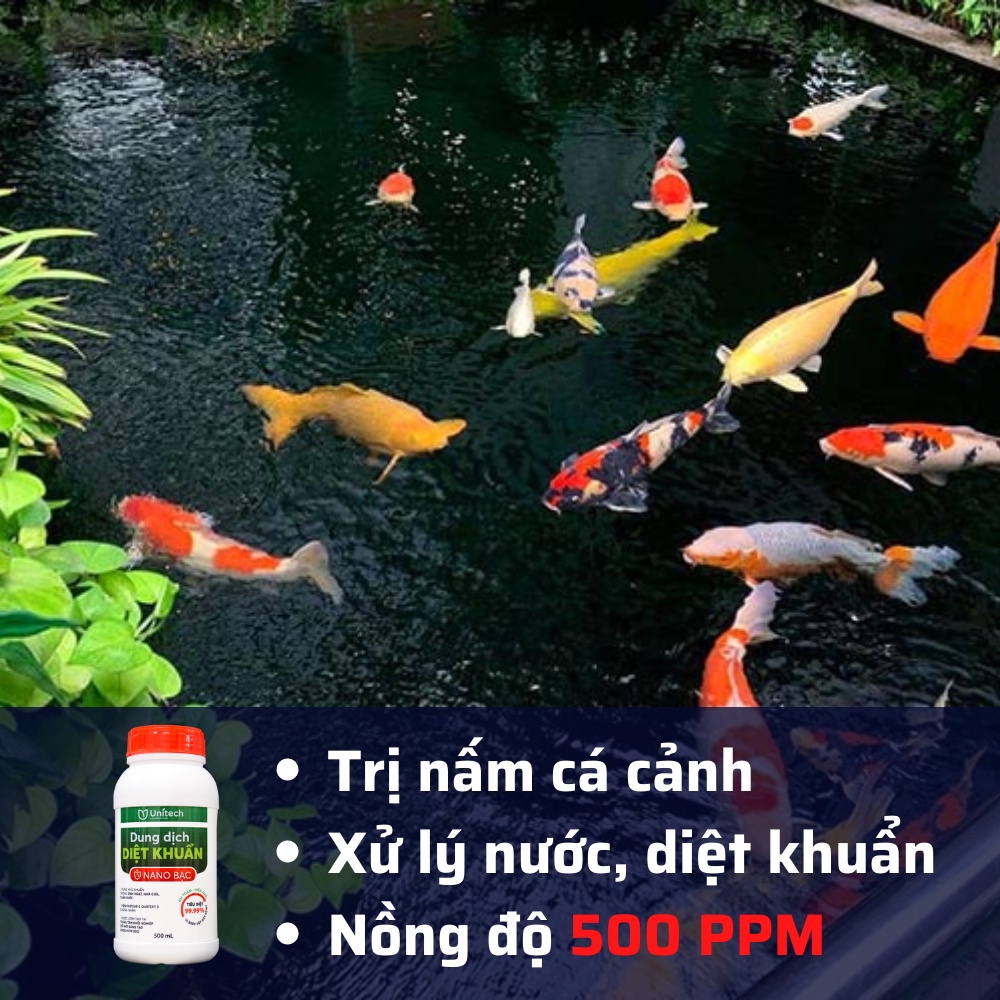 Nano bạc diệt khuẩn Unitech nguyên chất | Diệt vi khuẩn, nấm bệnh trên hoa lan, hoa hồng & Xử lý nước ao nuôi