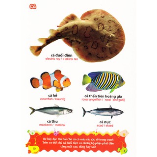 Sách: Từ Điển Tranh Về Các Con Vật - Động Vật (Bìa Cứng B100)