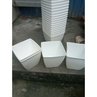 Bộ 10 cái chậu siêu xinh phi 16cm