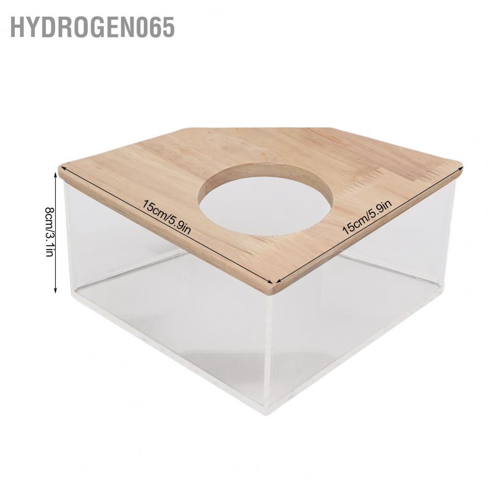 Hydrogen065 Hộp tắm cho chuột Hamster Quạt góc phải Acrylic Phòng cát an toàn nhỏ