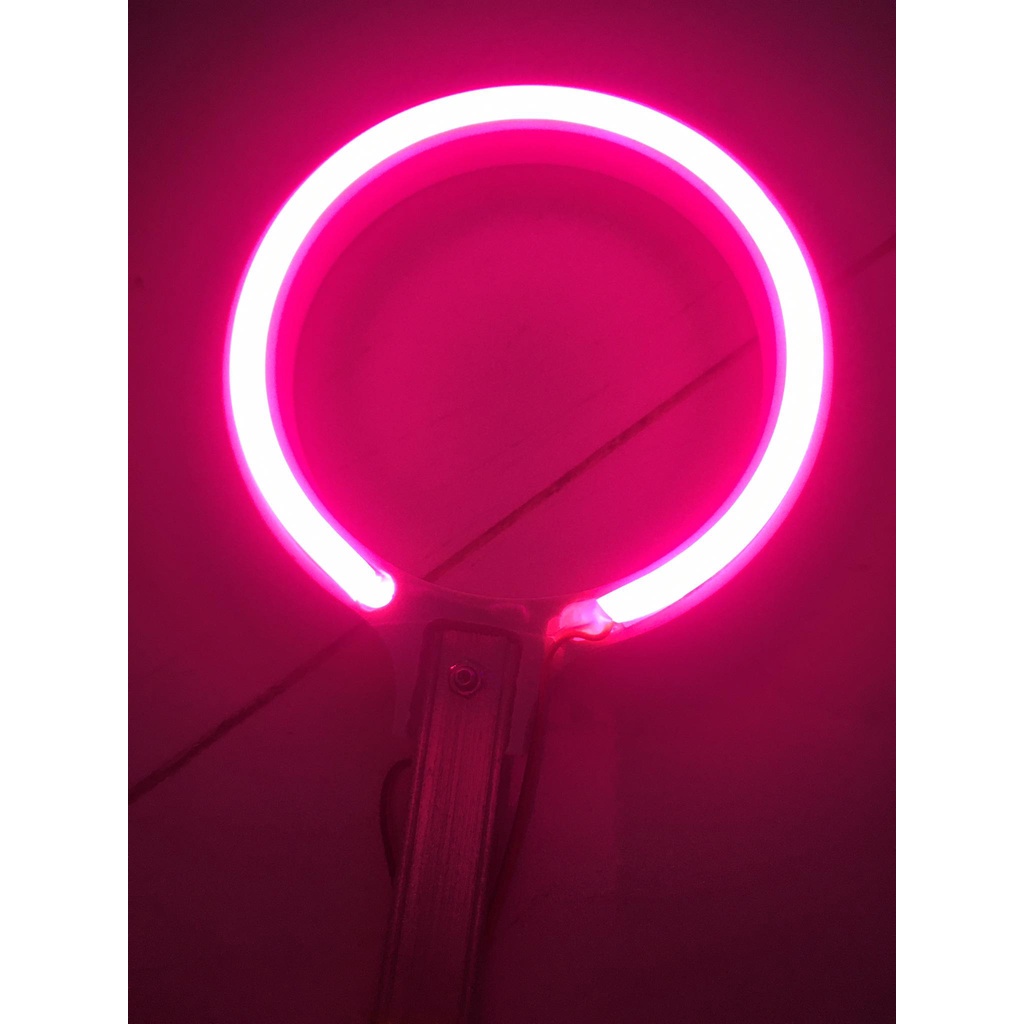 Vòng đèn neon led  trang trí tượng thờ có kèm nguồn