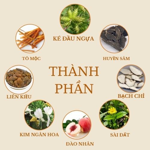 Bột rửa mặt thảo dược Thông Cát làm đẹp da, giảm mụn, dưỡng da trắng sáng, loại bỏ tế bào chết và tái tạo da hiệu quả