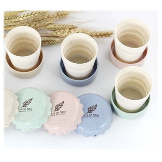 (Bán Buôn Sỉ) CỐC XẾP/ GẤP GỌN LÚA MẠCH