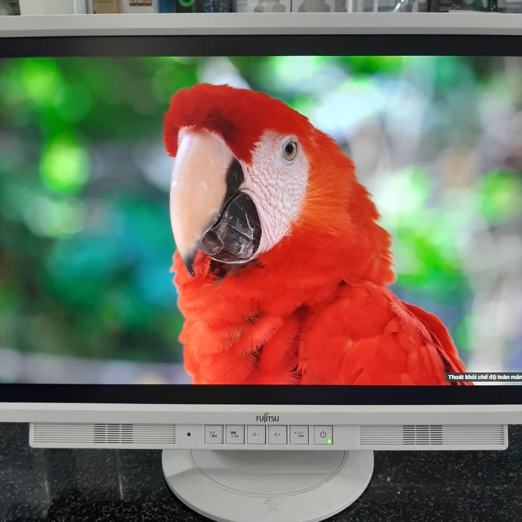 Màn hình Fujitsu 24 inch Led IPS | BigBuy360 - bigbuy360.vn
