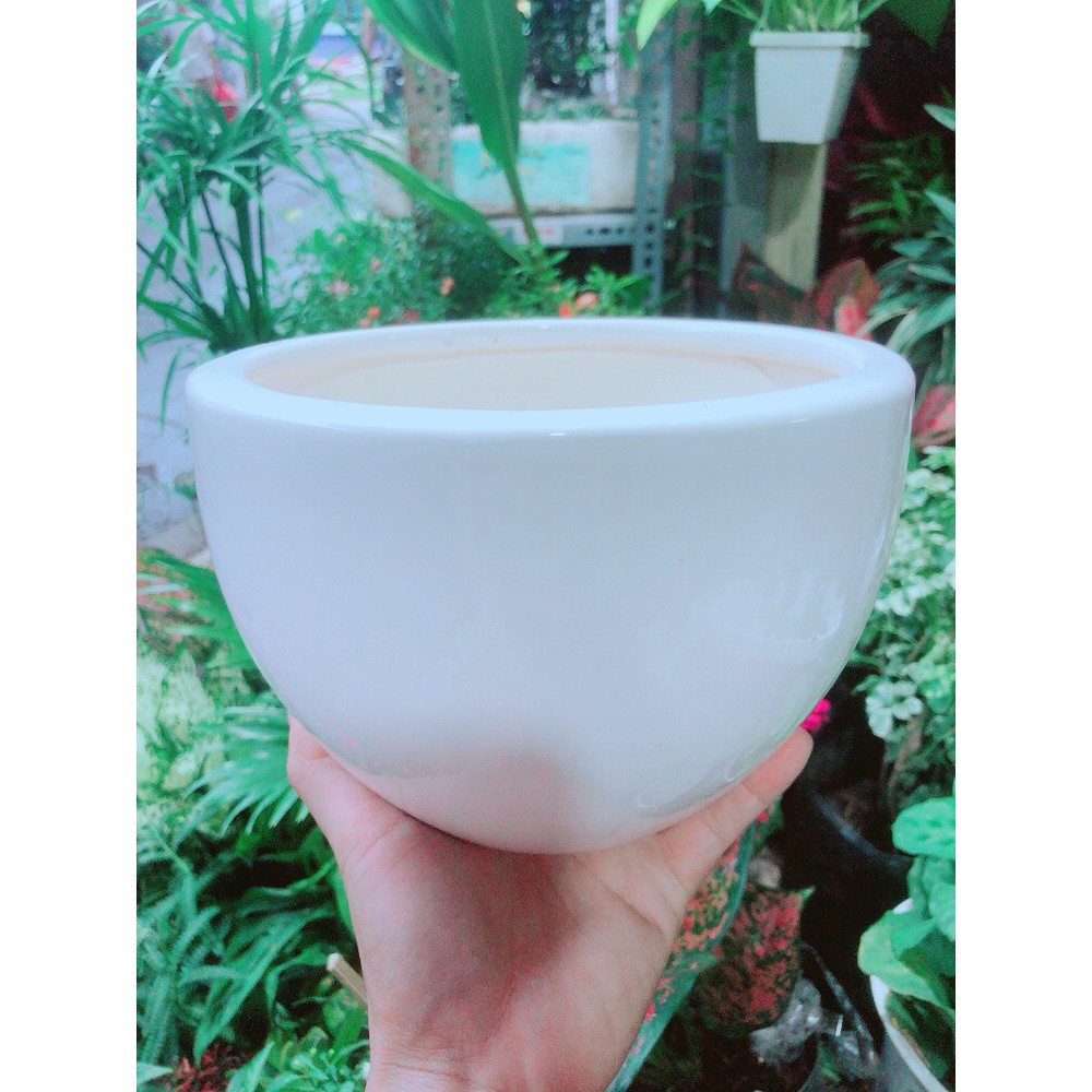 Chậu Trồng Cây (cao 13cm, ngang 17-19cm)