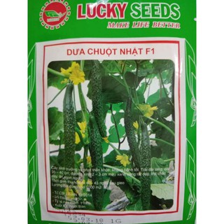 HẠT GIỐNG DƯA LEO NHẬT HGTG