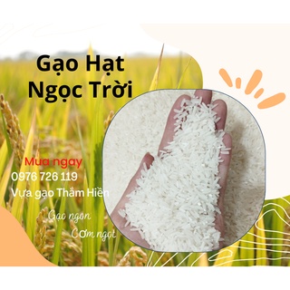 5kg - gạo hạt ngọc trời - gạo hữu cơ - thơm dẻo ngọt - bena organic