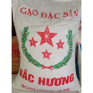 [NOW SHIP 2H] Gạo Bắc Hương Hải Hậu 10kg loại ngon
