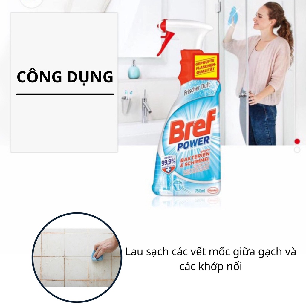 Bình xịt tẩy nấm mốc trên tường, cửa ra vào, cửa sổ, nhà tắm Bref Power 750ml
