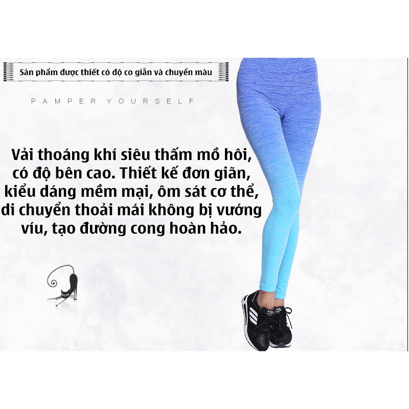 Quần legging nữ chuyển màu ck2015 Sportslink