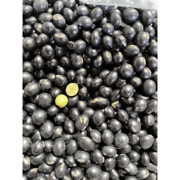 ĐẬU ĐEN XANH LÒNG ,THUẦN CHỦNG HỮU CƠ TỰ NHIÊN (100GR)