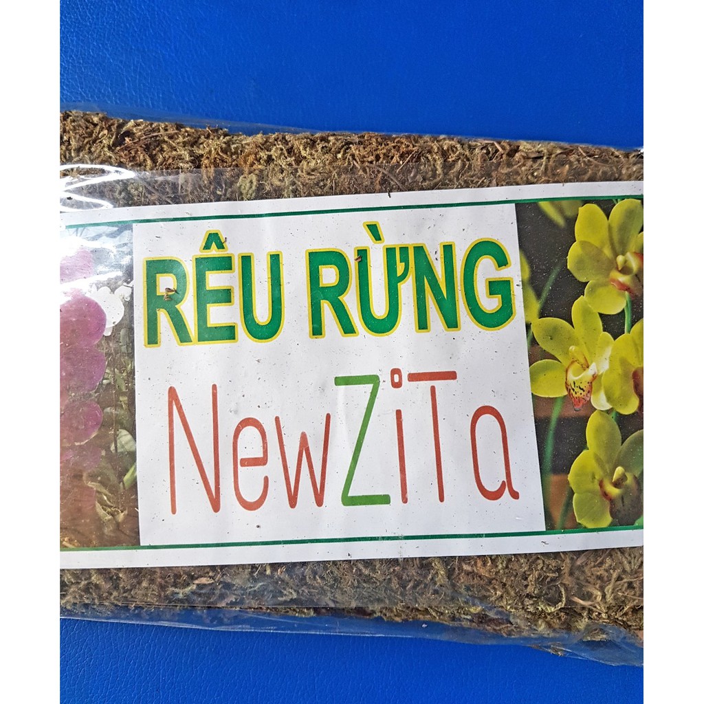 RÊU RỪNG TRỒNG LAN