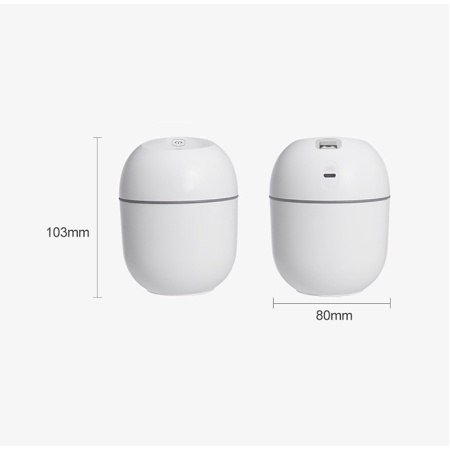 Máy Phun Sương Humidifier Tạo Độ Ẩm 250ml Cổng Sạc USB Tiện Lợi