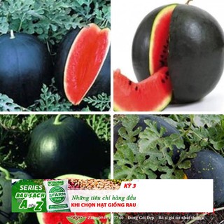 Hạt giống dưa hấu đen ruột đỏ 10 hạt