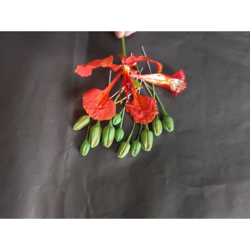 20 Nụ hoa phượng làm hoa handmade