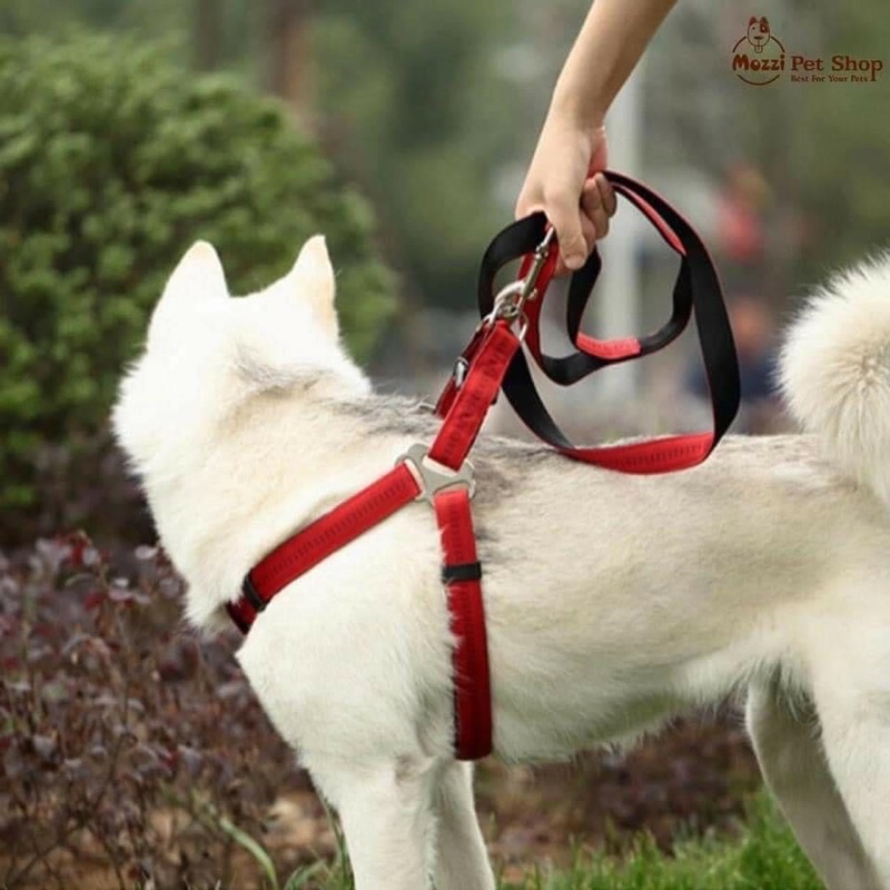 Dây dắt yếm ngực Panda cho chó mèo