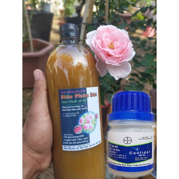 Bộ dịch chuối và thuốc trị bọ trĩ