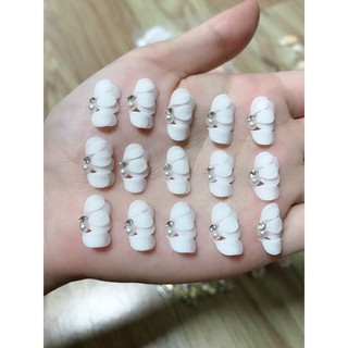 hoa bột - cúc cánh nửa- hoa ruby