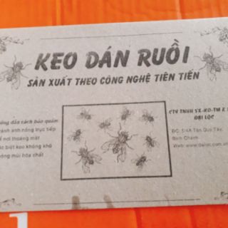 COMBO 10 MIẾNG Keo dán ruồi ĐẠI LỘC