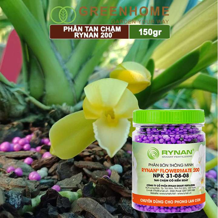 Phân tan chậm Greenhome, rynan 200, chai 150gr, kích chồi, dưỡng cây, dành cho phong lan con, kiểng