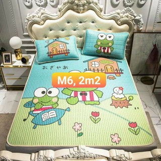 Chiếu Điều Hòa 4 mùa