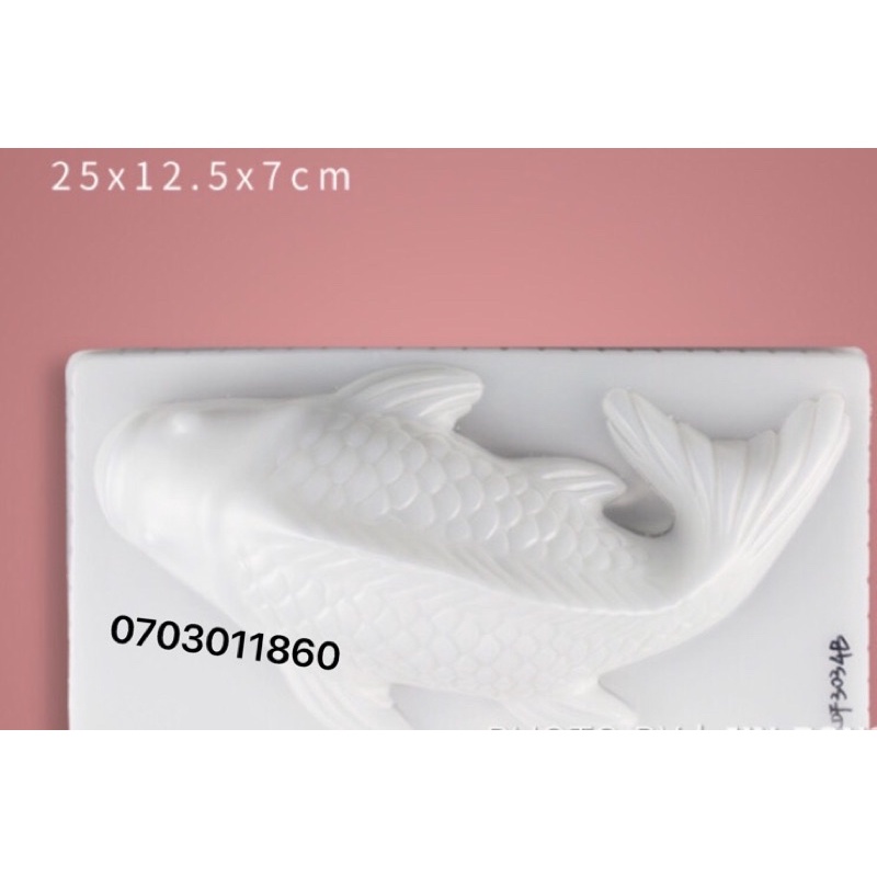 Khuôn Rau câu cá chép lẻ 25x12.5x7cm