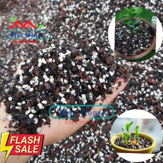 1kg Giá Thể Trồng Lan Cao Cấp, Long Vân