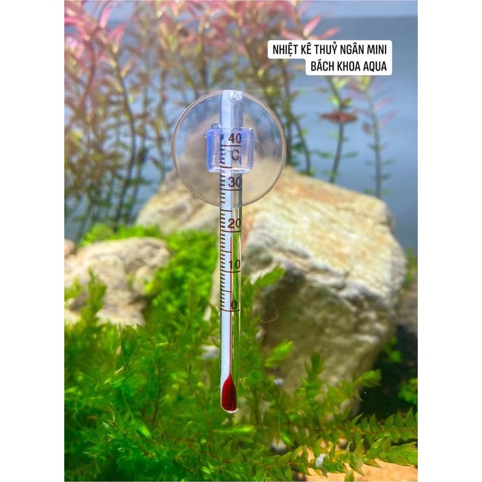 Nhiệt kế Mini Aquarium Thermometer cho bể cá
