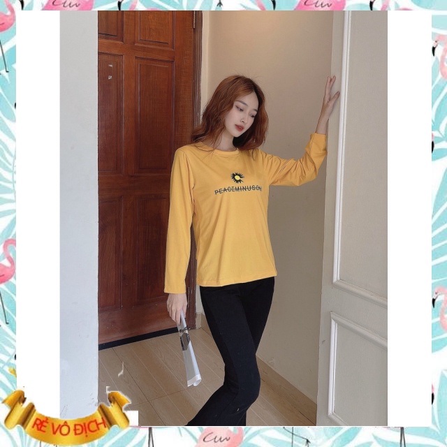 Áo thun dài tay nữ cổ tròn xin Hoa cúc