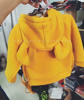 Áo nỉ mickey