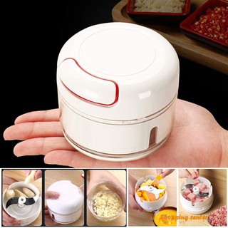 Dụng cụ xay nhuyễn tỏi gừng ớt mini bằng tay dùng cho nấu ăn