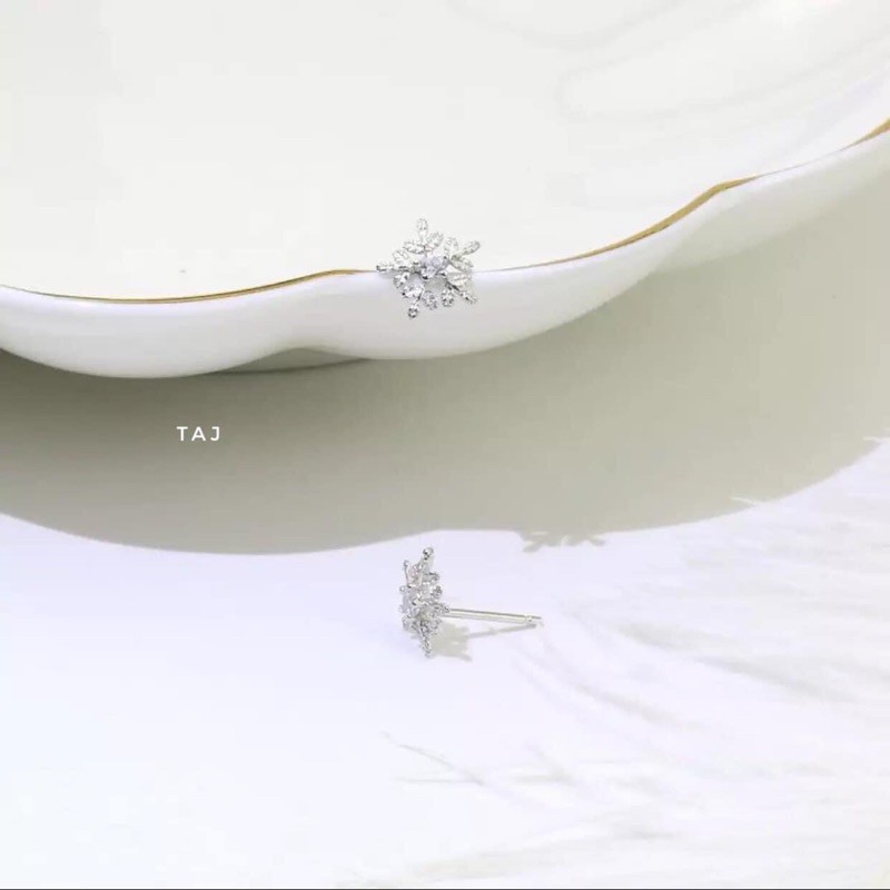 Bông tuyết bạc ta