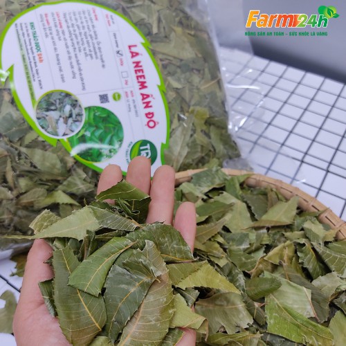 Lá neem Ấn Độ (cây xoan Ấn Độ) sấy khô cây vạn năng tốt cho tim mạch, bảo vệ gan, làm đẹp da, ngừa lão hóa | Farm24h