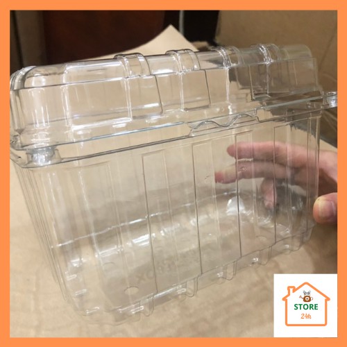 [Bộ 50 hộp nhựa 500g & 1kg] đựng trái cây, rau củ quả, thực phẩm, trong suốt an toàn, tiện lợi. | BigBuy360 - bigbuy360.vn