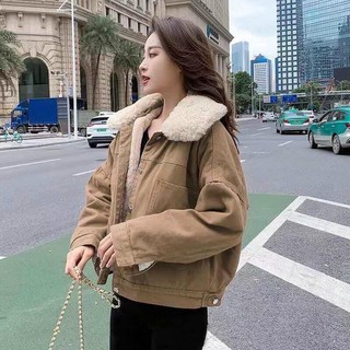 áo kaki lót lông siêu ấm