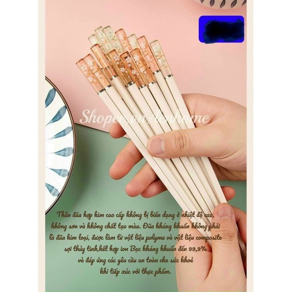 SET 5 ĐÔI ĐŨA HOA ANH ĐÀO SANG TRỌNG, LỊCH SỰ VÀ CỰC THẨM MĨ