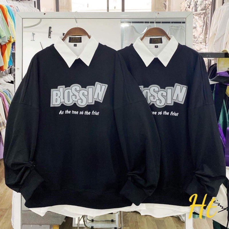 Áo nỉ Bloss bo gấu H2Q969