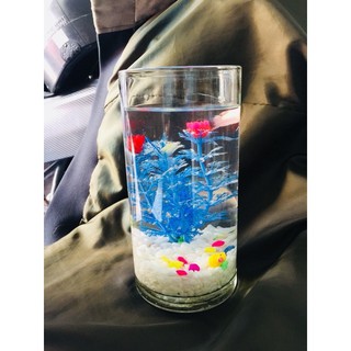 Bình bông lọ hoa thủy tinh đường kính 10cm cao 20cm