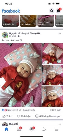 GỐi Đinh Lăng Cho Bé