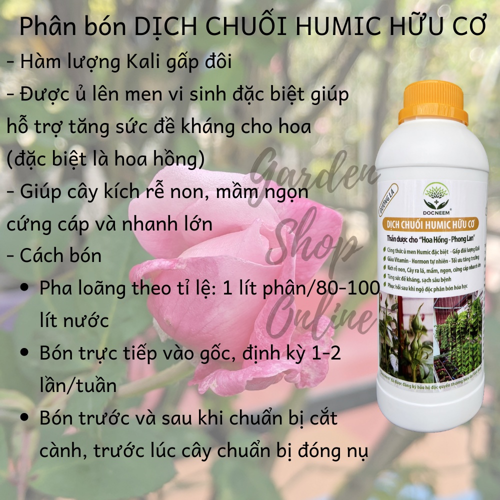 Phân bón cho hoa hồng Dịch chuối - Kích hoa - Đậu tương