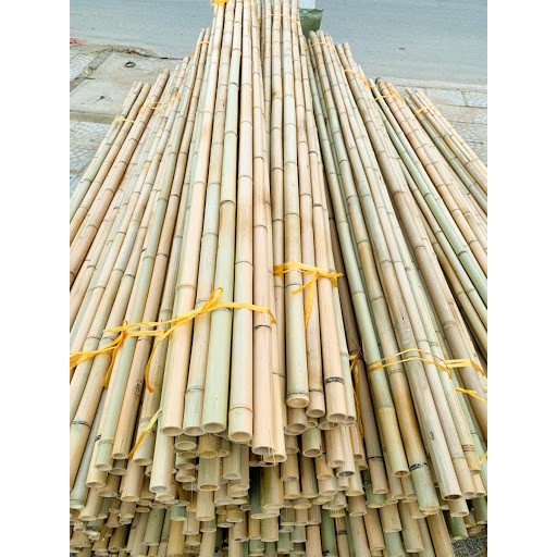 Combo 5 cây trúc trang trí làm đồ handmade, hàng rào...